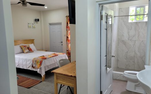 Studio Accommodation